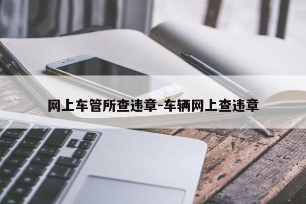 网上车管所查违章-车辆网上查违章