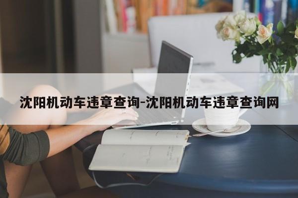 沈阳机动车违章查询-沈阳机动车违章查询网
