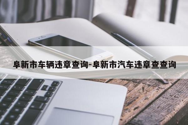 阜新市车辆违章查询-阜新市汽车违章查查询