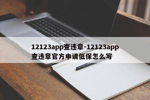 12123app查违章-12123app查违章官方申请低保怎么写