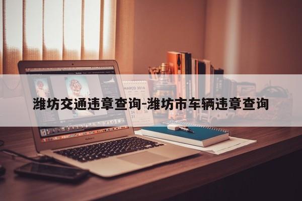 潍坊交通违章查询-潍坊市车辆违章查询