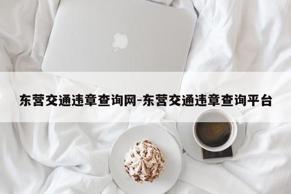 东营交通违章查询网-东营交通违章查询平台