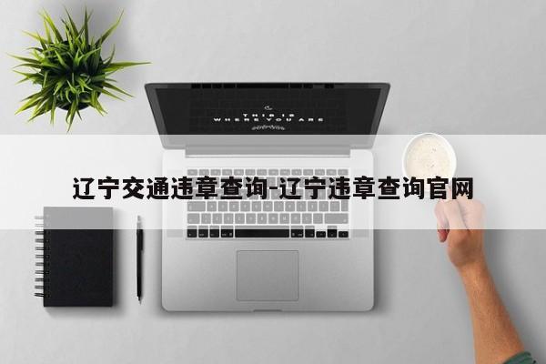 辽宁交通违章查询-辽宁违章查询官网