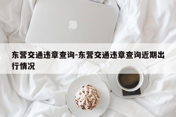 东营交通违章查询-东营交通违章查询近期出行情况
