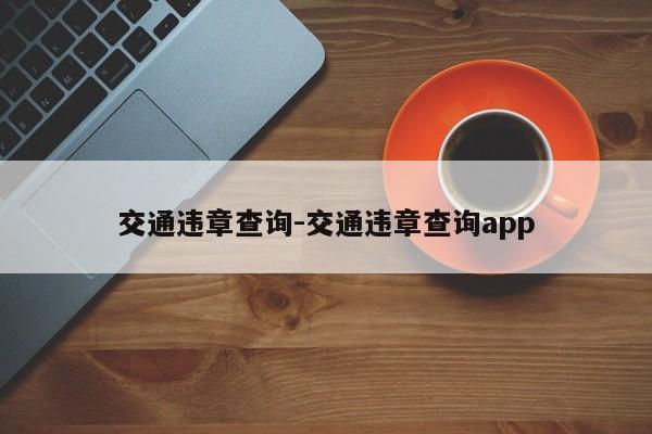 交通违章查询-交通违章查询app