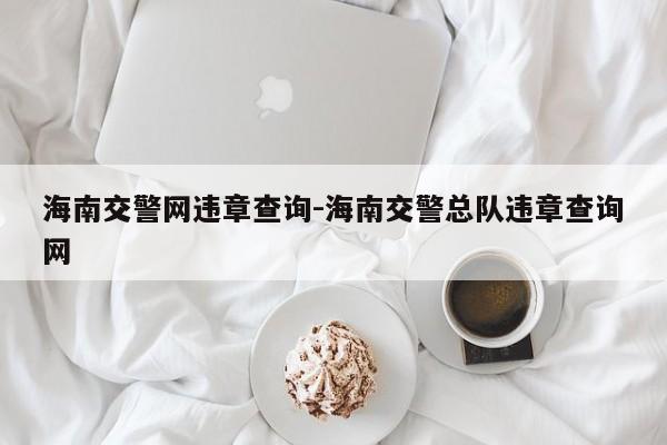 海南交警网违章查询-海南交警总队违章查询网