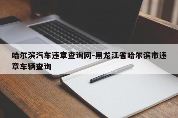 哈尔滨汽车违章查询网-黑龙江省哈尔滨市违章车辆查询