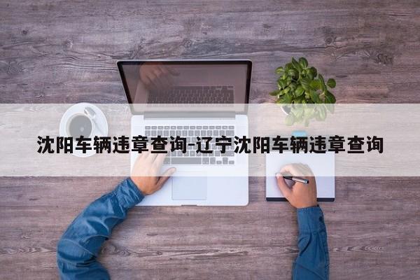 沈阳车辆违章查询-辽宁沈阳车辆违章查询