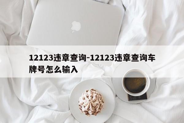 12123违章查询-12123违章查询车牌号怎么输入