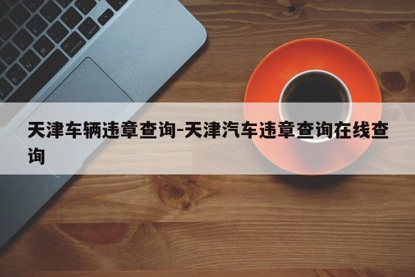 天津车辆违章查询-天津汽车违章查询在线查询