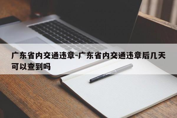 广东省内交通违章-广东省内交通违章后几天可以查到吗