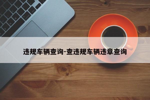 违规车辆查询-查违规车辆违章查询