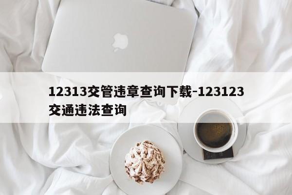 12313交管违章查询下载-123123交通违法查询