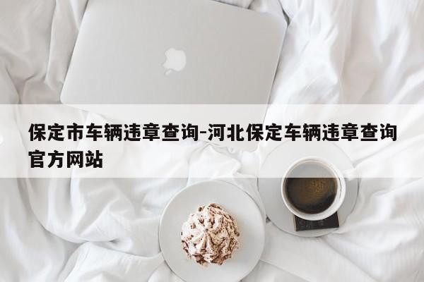 保定市车辆违章查询-河北保定车辆违章查询官方网站