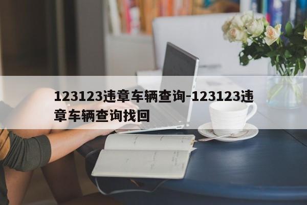 123123违章车辆查询-123123违章车辆查询找回