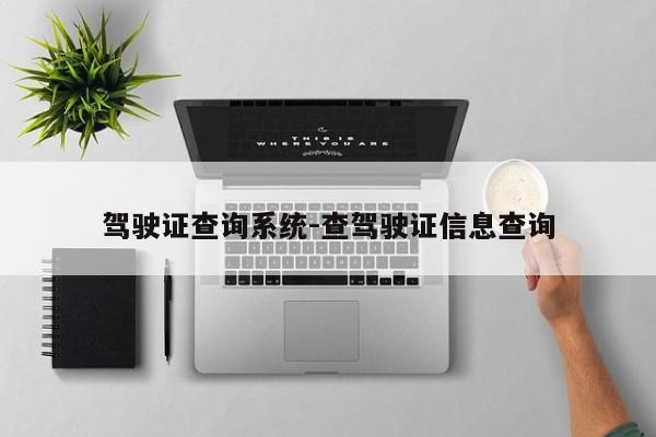 驾驶证查询系统-查驾驶证信息查询