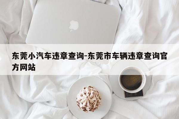 东莞小汽车违章查询-东莞市车辆违章查询官方网站