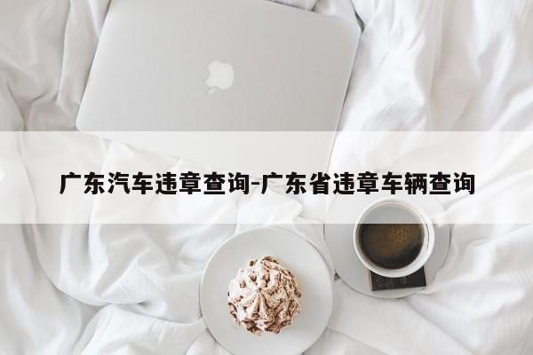 广东汽车违章查询-广东省违章车辆查询