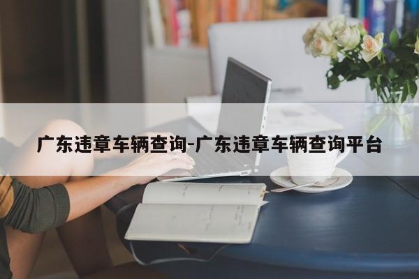 广东违章车辆查询-广东违章车辆查询平台
