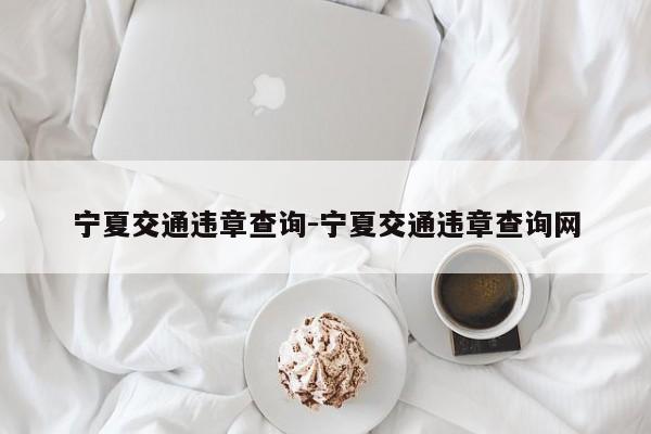 宁夏交通违章查询-宁夏交通违章查询网