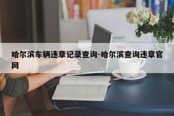 哈尔滨车辆违章记录查询-哈尔滨查询违章官网
