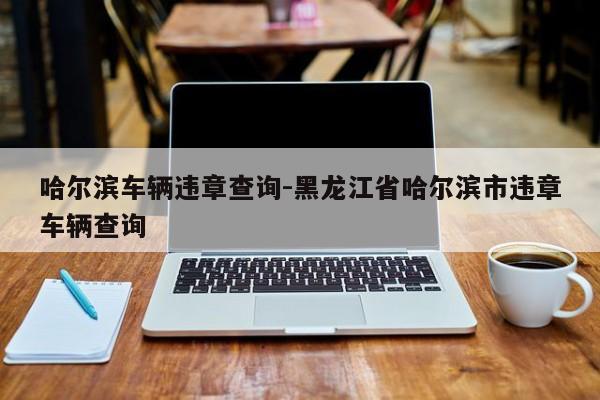哈尔滨车辆违章查询-黑龙江省哈尔滨市违章车辆查询