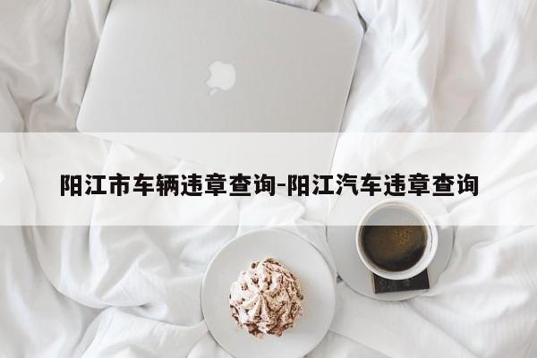 阳江市车辆违章查询-阳江汽车违章查询