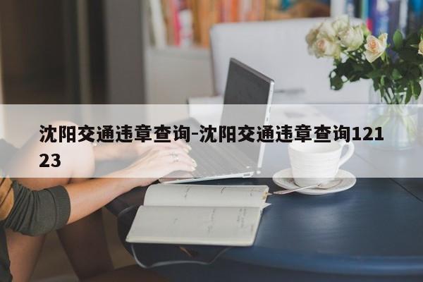 沈阳交通违章查询-沈阳交通违章查询12123
