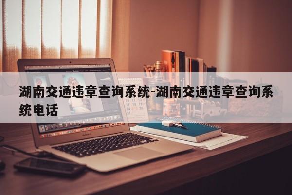 湖南交通违章查询系统-湖南交通违章查询系统电话