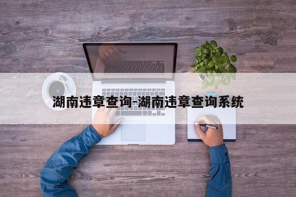 湖南违章查询-湖南违章查询系统