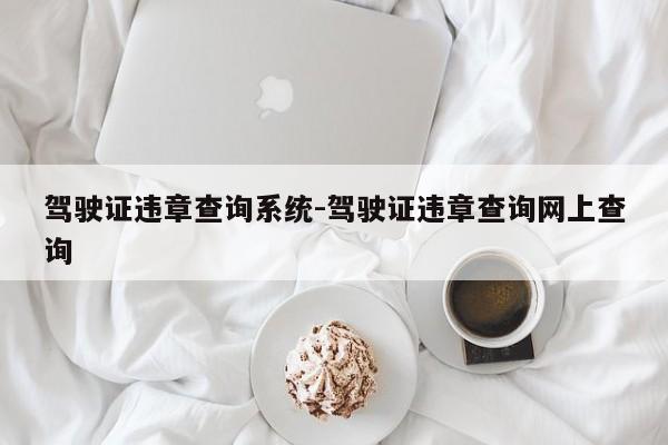 驾驶证违章查询系统-驾驶证违章查询网上查询