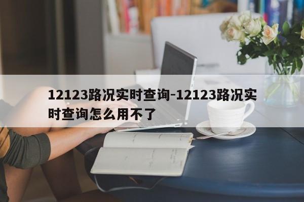 12123路况实时查询-12123路况实时查询怎么用不了