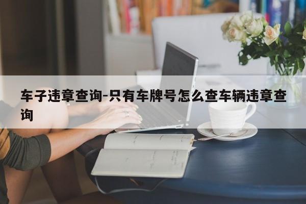 车子违章查询-只有车牌号怎么查车辆违章查询
