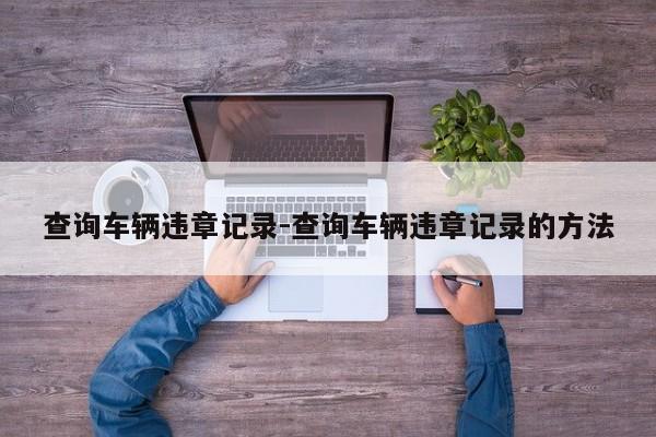 查询车辆违章记录-查询车辆违章记录的方法