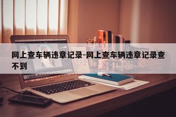 网上查车辆违章记录-网上查车辆违章记录查不到