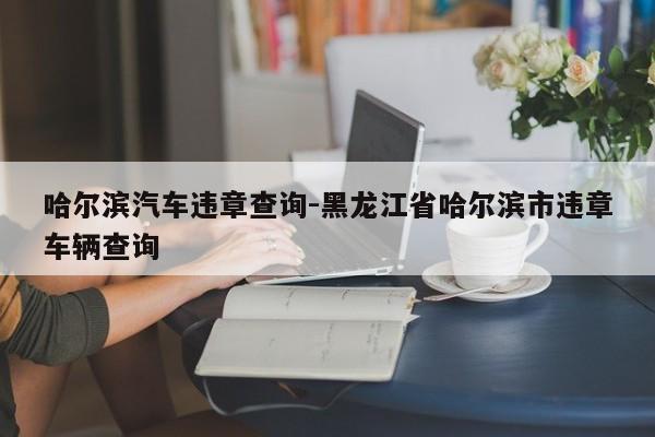 哈尔滨汽车违章查询-黑龙江省哈尔滨市违章车辆查询