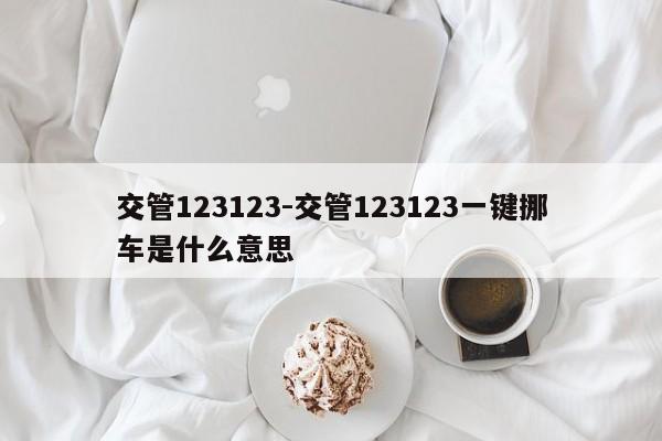 交管123123-交管123123一键挪车是什么意思