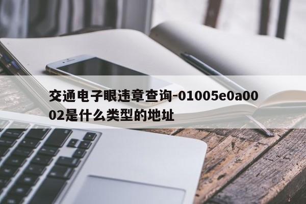 交通电子眼违章查询-01005e0a0002是什么类型的地址