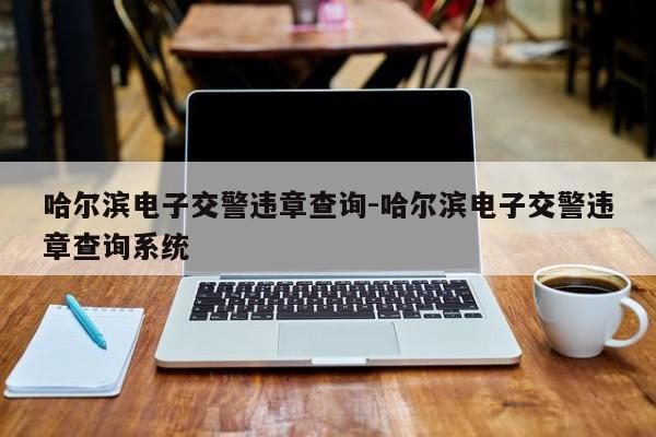 哈尔滨电子交警违章查询-哈尔滨电子交警违章查询系统