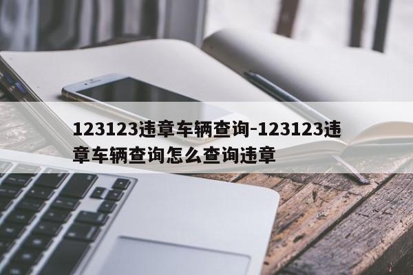 123123违章车辆查询-123123违章车辆查询怎么查询违章