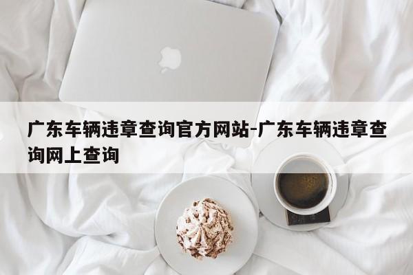 广东车辆违章查询官方网站-广东车辆违章查询网上查询
