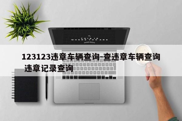 123123违章车辆查询-查违章车辆查询 违章记录查询