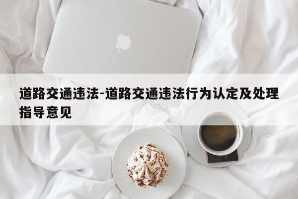 道路交通违法-道路交通违法行为认定及处理指导意见