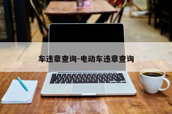 车违章查询-电动车违章查询