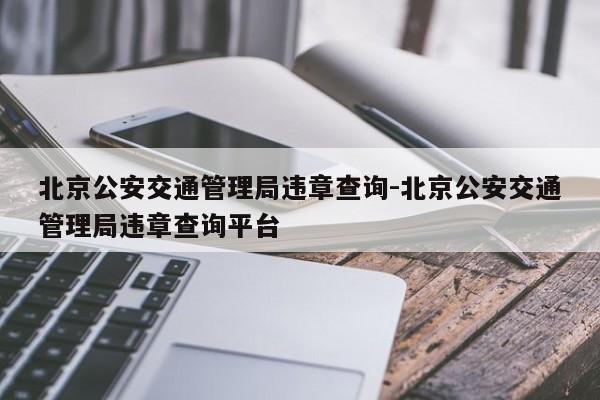 北京公安交通管理局违章查询-北京公安交通管理局违章查询平台
