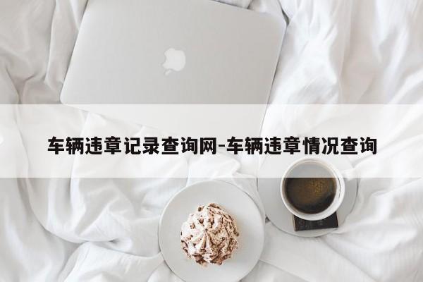 车辆违章记录查询网-车辆违章情况查询