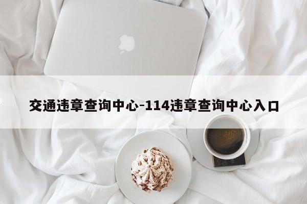 交通违章查询中心-114违章查询中心入口