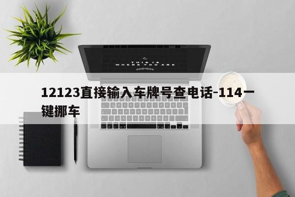 12123直接输入车牌号查电话-114一键挪车